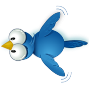 Twitter bird