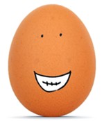 Mr Egg