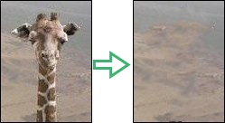 Giraffe removed using InPaint